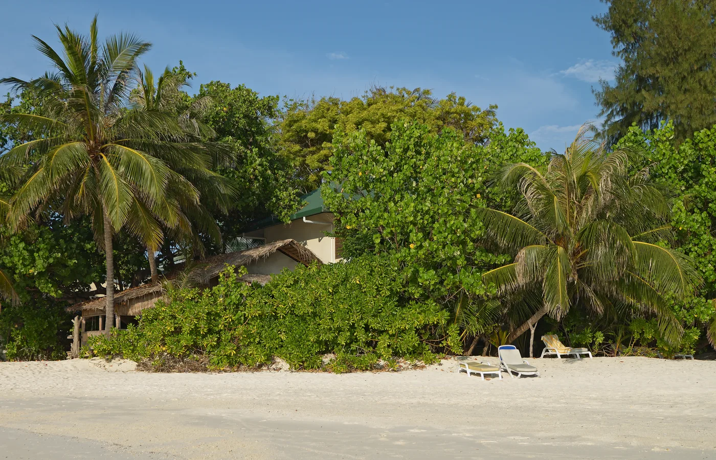 Paysage emblématique des Maldives
